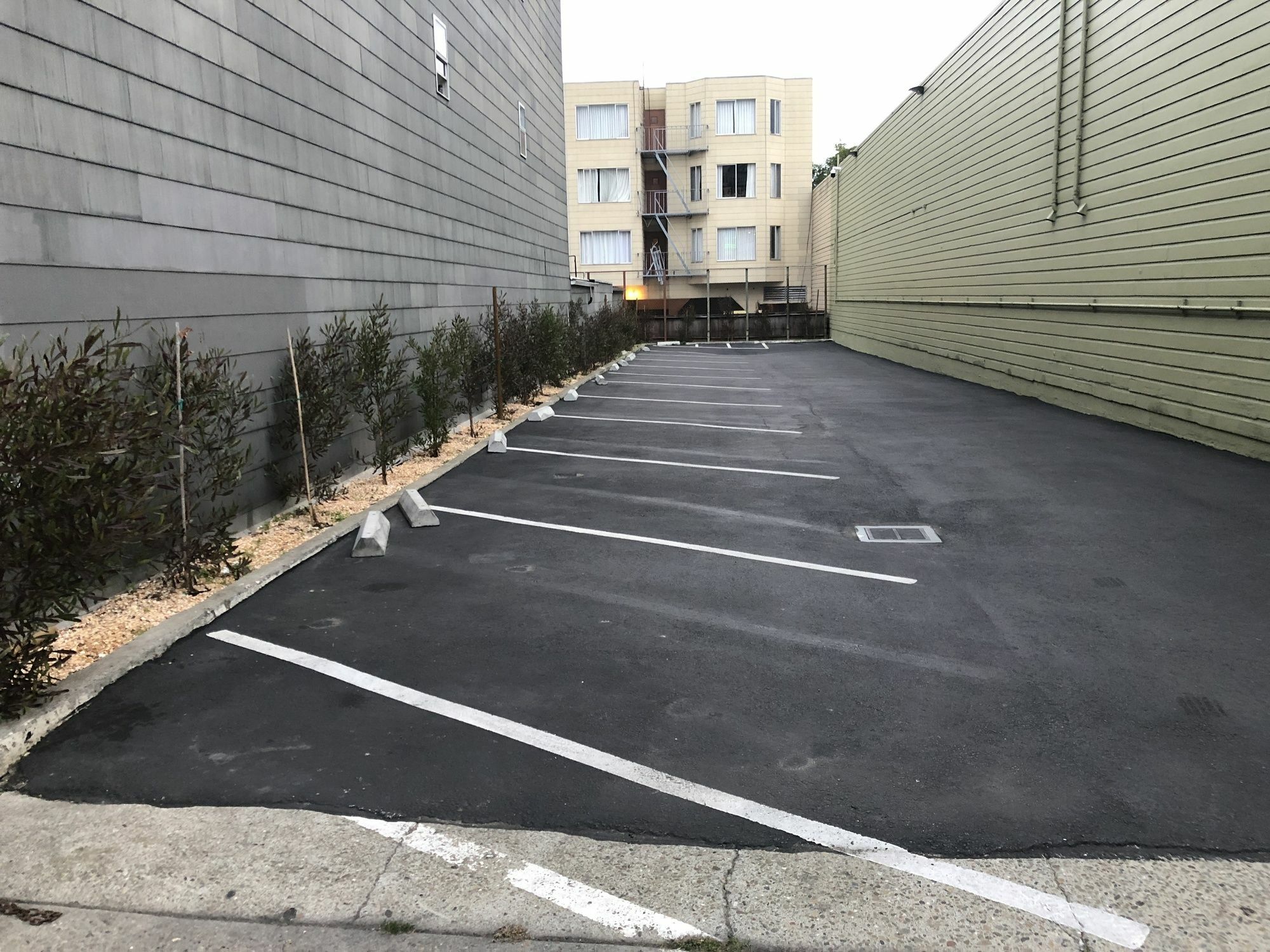 Lombard Plaza Motel San Francisco Exteriör bild